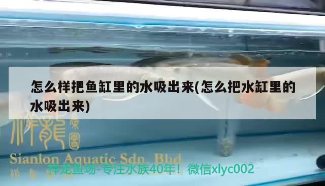 怎么樣把魚缸里的水吸出來(怎么把水缸里的水吸出來)