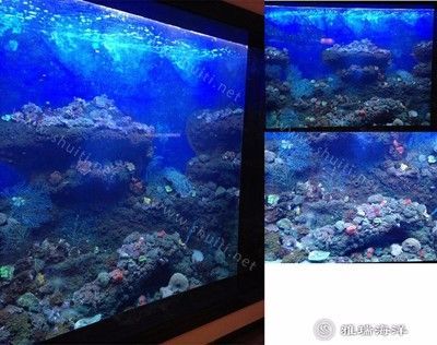 水族館魚缸廠家地址（多個水族館魚缸廠家的詳細地址）
