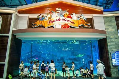 怎么開一家水族館（開一家水族館的詳細步驟和注意事項和注意事項）