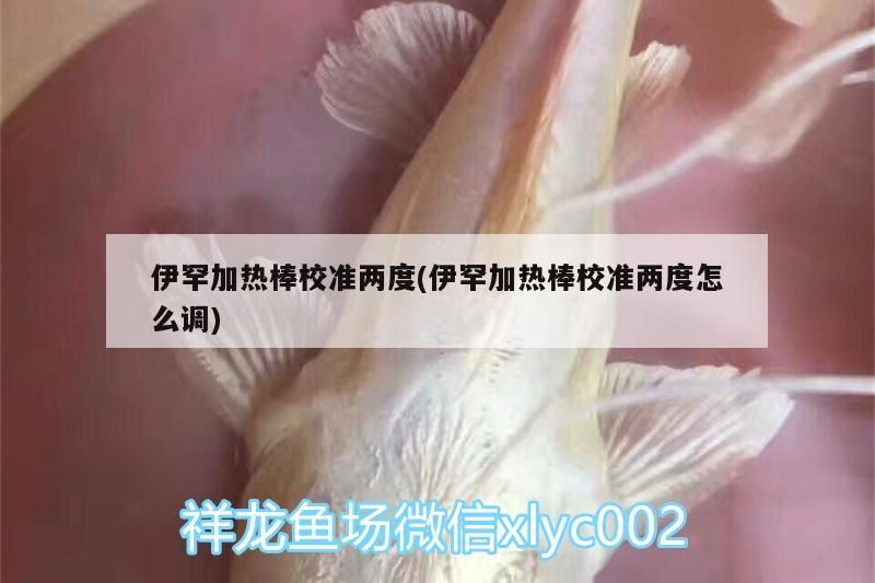 伊罕加熱棒校準兩度(伊罕加熱棒校準兩度怎么調)