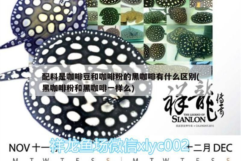 配料是咖啡豆和咖啡粉的黑咖啡有什么區別(黑咖啡粉和黑咖啡一樣么)