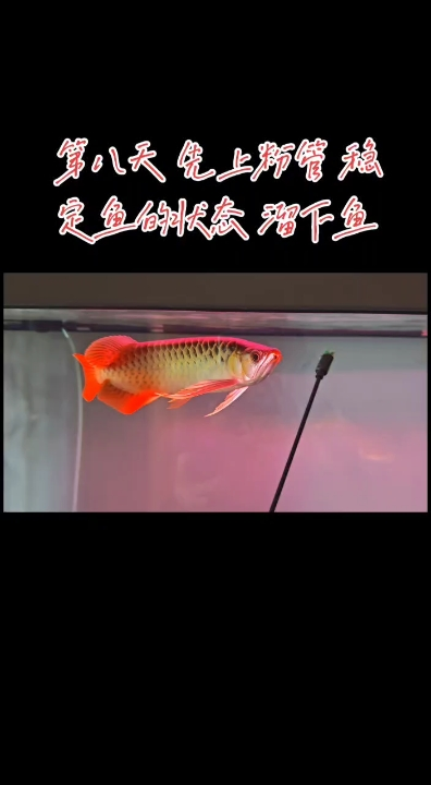 狀態(tài)還算穏定 保持