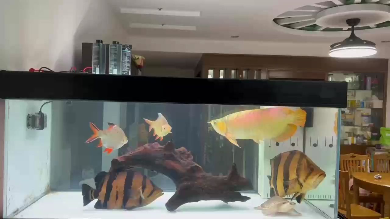 冒個泡吧！努力打造空氣缸！
