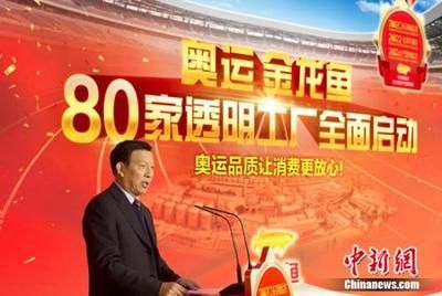 黃金貓魚吃什么東西長大快一點(黃金招財貓魚吃什么)