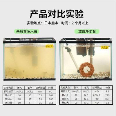 祥龍水族濾材性價比分析（祥龍水族濾材性價比分析祥龍水族濾材選購指南）
