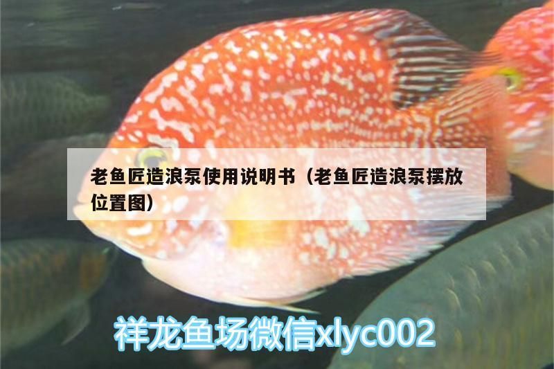 老魚匠造浪泵使用說明書（老魚匠造浪泵擺放位置圖）