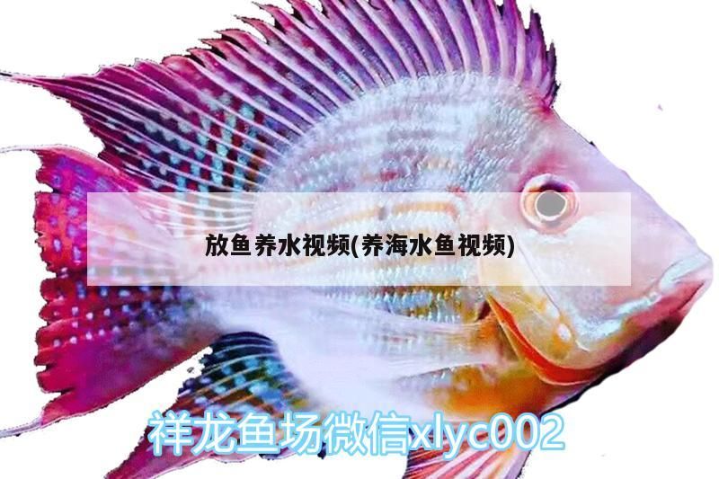 老魚匠加熱棒出現ee（老魚匠加熱棒出現ee如何解決）