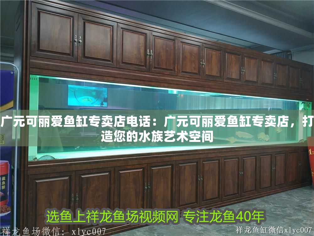 廣元可麗愛魚缸專賣店電話：廣元可麗愛魚缸專賣店，打造您的水族藝術(shù)空間 廣元可麗愛魚缸專賣店電話：廣元可麗愛魚缸專賣店，打造您的水族藝術(shù)空間 iwish愛唯希品牌魚缸 第1張