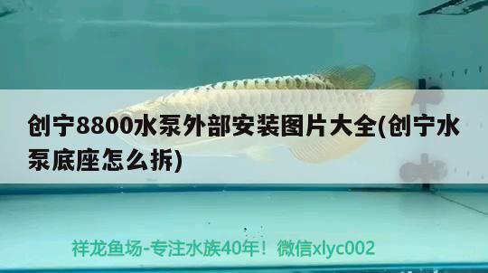 創(chuàng)寧8800水泵外部安裝圖片大全(創(chuàng)寧水泵底座怎么拆)