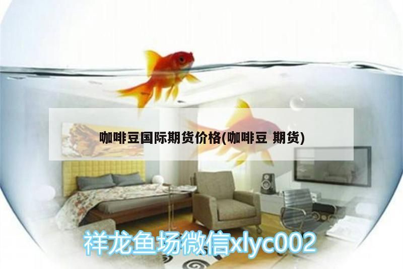 咖啡豆國際期貨價格(咖啡豆期貨)