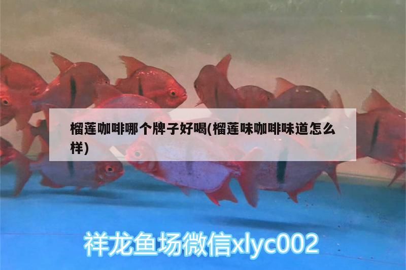 魚缸用增氧泵價格是多少:魚缸增氧機-xtrac增氧機-xtrac增氧機 榴蓮咖啡哪個牌子好喝(榴蓮味咖啡味道怎么樣) 馬來西亞咖啡 榴蓮咖啡哪個牌子好喝(榴蓮味咖啡味道怎么樣) 榴蓮咖啡哪個牌子好喝(榴蓮味咖啡味道怎么樣) 馬來西亞咖啡