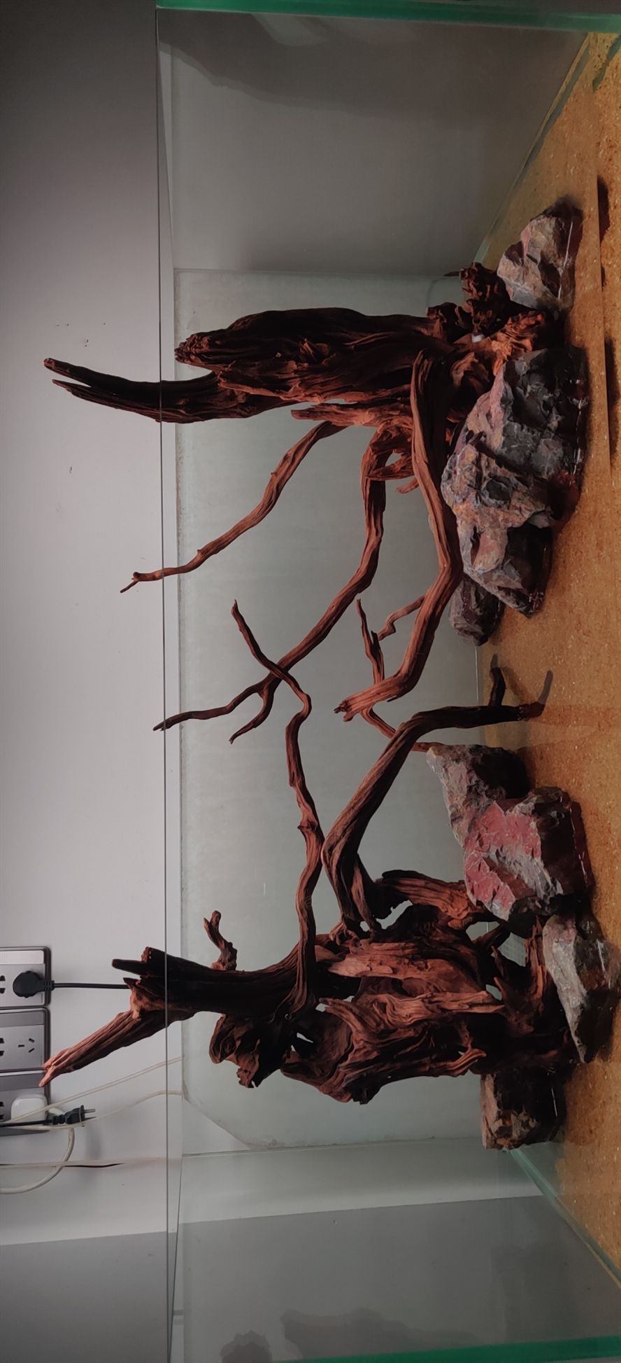 這個骨架怎樣？ 這個骨架怎樣？ 龍魚論壇