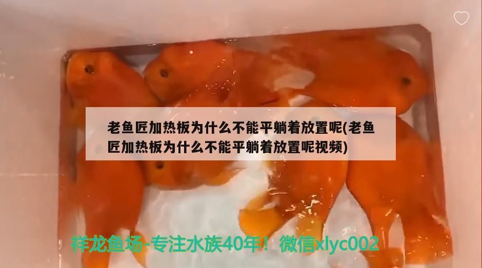 老魚匠加熱板為什么不能平躺著放置呢(老魚匠加熱板為什么不能平躺著放置呢視頻)