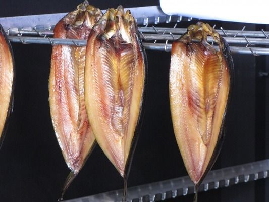 世界十大恐怖怪魚，深海中的噩夢生物，揭秘世界十大恐怖怪魚，深海中的噩夢生物