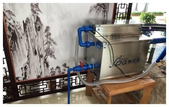 十一條魚風水好不好？深度解析魚缸風水與數字寓意，十一條魚風水解析，魚缸數量與數字寓意全揭秘