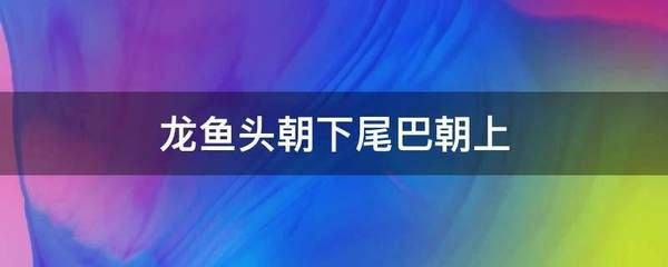 龍魚突然頭朝下尾巴朝上游