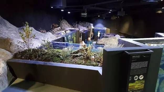 水族館干啥的啊（水族館在環保宣傳中的作用） 水族館干啥的啊（水族館在環保宣傳中的作用） 水族館百科（水族館加盟） 第4張