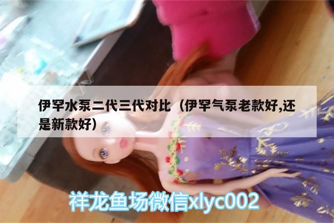 伊罕水泵二代三代對比（伊罕氣泵老款好,還是新款好）