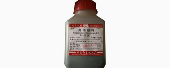 十二生肖誰最聰明？揭秘生肖智慧排行榜，十二生肖智慧大揭秘，誰是智商擔當？
