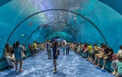 水族館隧道如何增強游客互動（水族館隧道vr體驗）