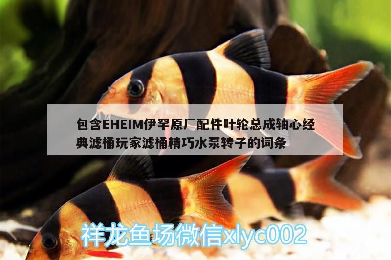 包含EHEIM伊罕原廠配件葉輪總成軸心經典濾桶玩家濾桶精巧水泵轉子的詞條