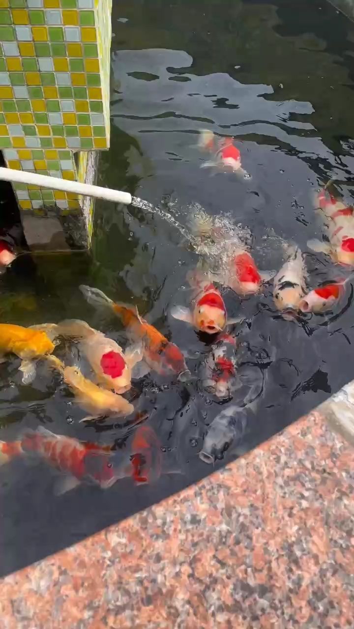 入冬