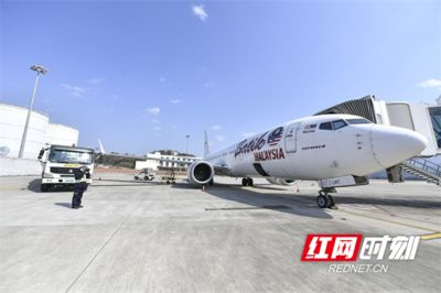 馬印燈和樂迪燈哪個效果好：樂迪燈和馬印燈哪個效果好