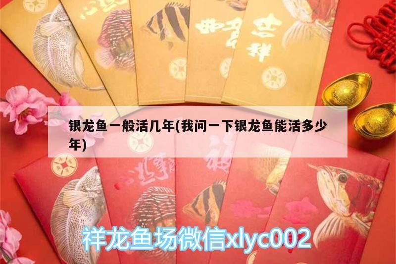銀龍魚一般活幾年(我問一下銀龍魚能活多少年)
