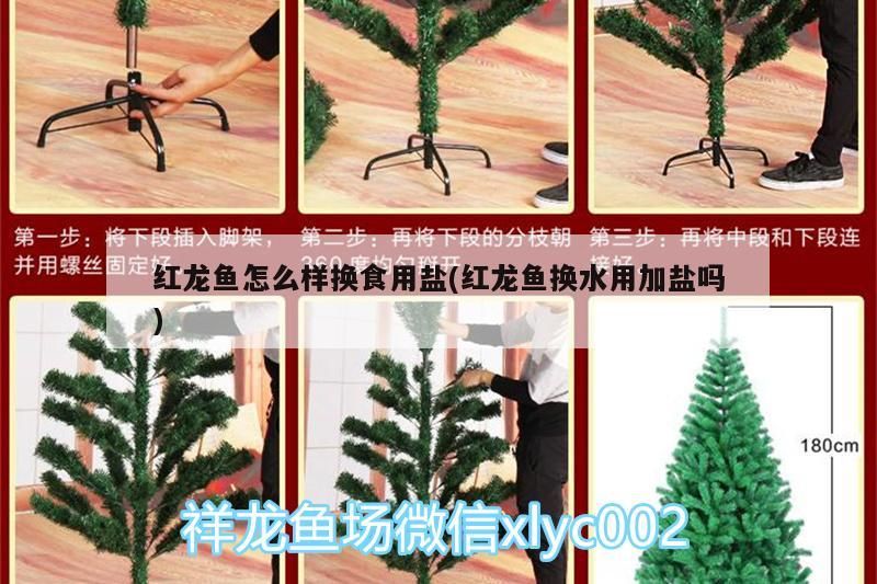 飼料 紅龍魚怎么樣換食用鹽(紅龍魚換水用加鹽嗎) iwish愛唯希品牌魚缸 紅龍魚怎么樣換食用鹽(紅龍魚換水用加鹽嗎) 紅龍魚怎么樣換食用鹽(紅龍魚換水用加鹽嗎) iwish愛唯希品牌魚缸