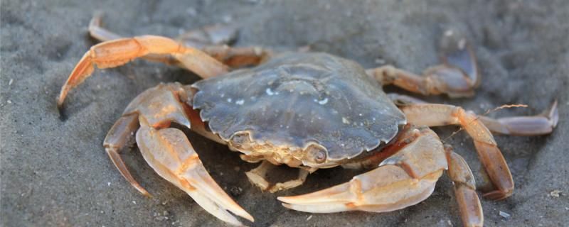 三亞魚缸轉讓信息大全圖 三亞魚缸轉讓信息大全圖片 三亞魚缸轉讓信息大全圖 三亞魚缸轉讓信息大全圖片 馬來西亞咖啡