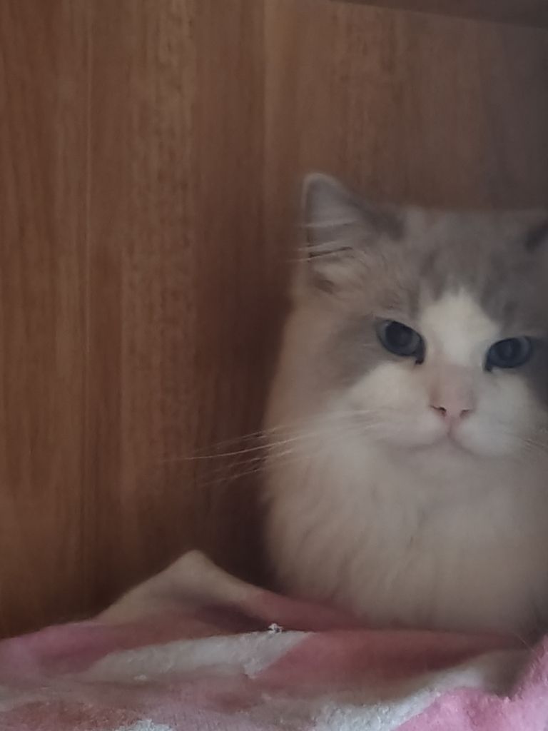 是否有很多問號