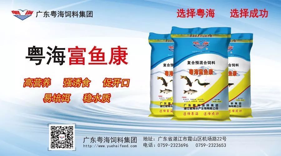 十大最吉利的鎮(zhèn)宅樹(shù)，守護(hù)家宅，招財(cái)納福，十大最吉利的鎮(zhèn)宅樹(shù)，守護(hù)家宅興旺，招財(cái)納福必選
