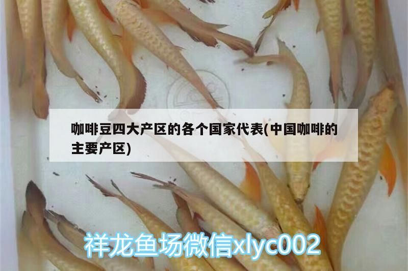 印尼虎魚多少溫度飼養(yǎng)最好:印尼虎魚多少溫度飼養(yǎng)最好印尼虎魚多少溫度飼養(yǎng)最好 咖啡豆四大產(chǎn)區(qū)的各個國家代表(中國咖啡的主要產(chǎn)區(qū)) 馬來西亞咖啡 咖啡豆四大產(chǎn)區(qū)的各個國家代表(中國咖啡的主要產(chǎn)區(qū)) 咖啡豆四大產(chǎn)區(qū)的各個國家代表(中國咖啡的主要產(chǎn)區(qū)) 馬來西亞咖啡