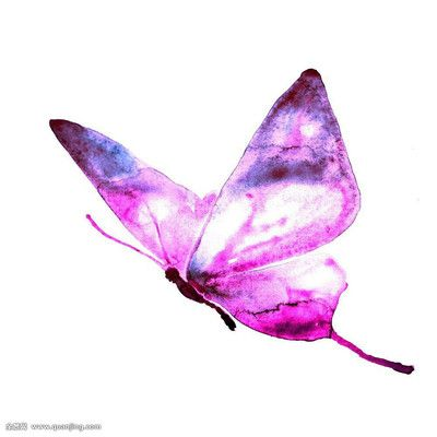 彩蝶和博特的魚缸：彩蝶和博特的魚缸哪個好