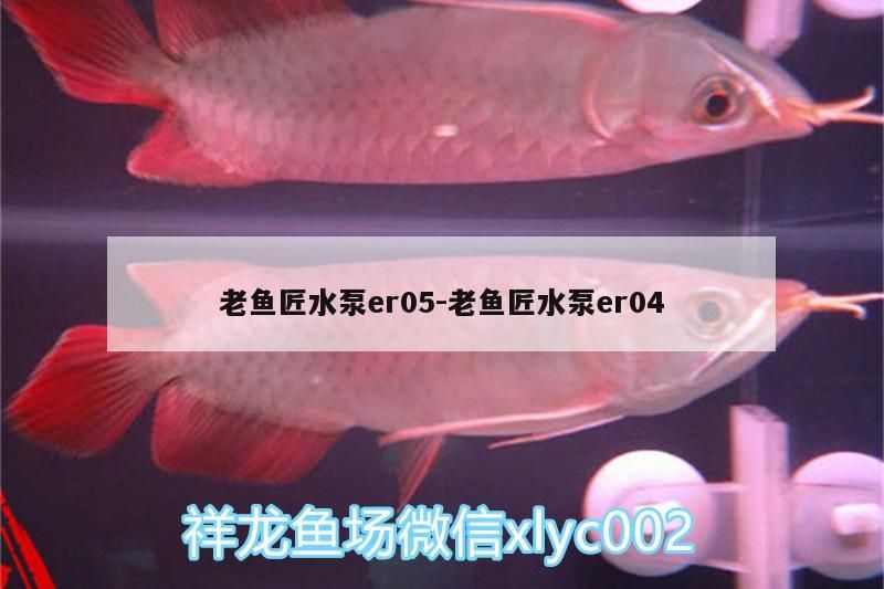 老魚匠水泵er05:老魚匠水泵er04
