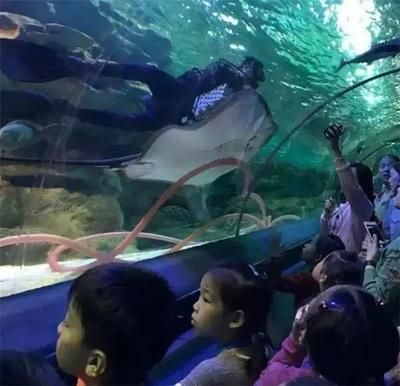 水族館工資高嗎（水族館飼養員工作機會多嗎）