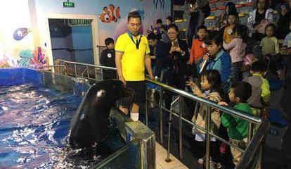 水族館工資高嗎（水族館飼養員工作機會多嗎）
