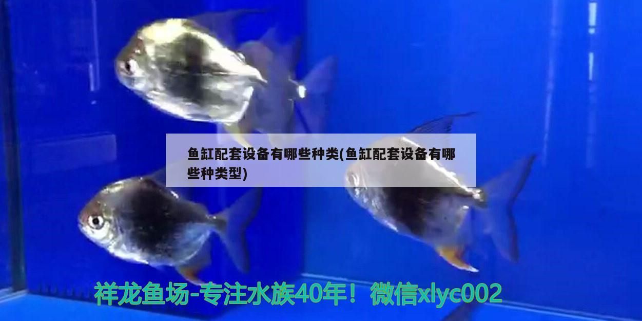 魚缸配套設備有哪些種類(魚缸配套設備有哪些種類型)