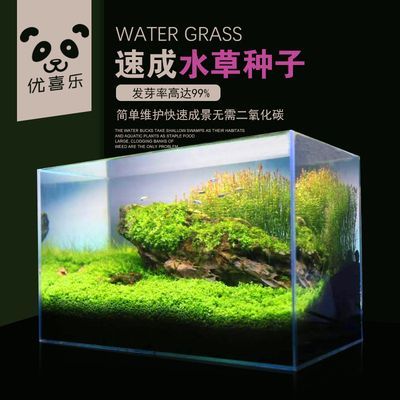 lanbao魚缸質(zhì)量咋樣：藍寶品牌的魚缸有哪些特點？