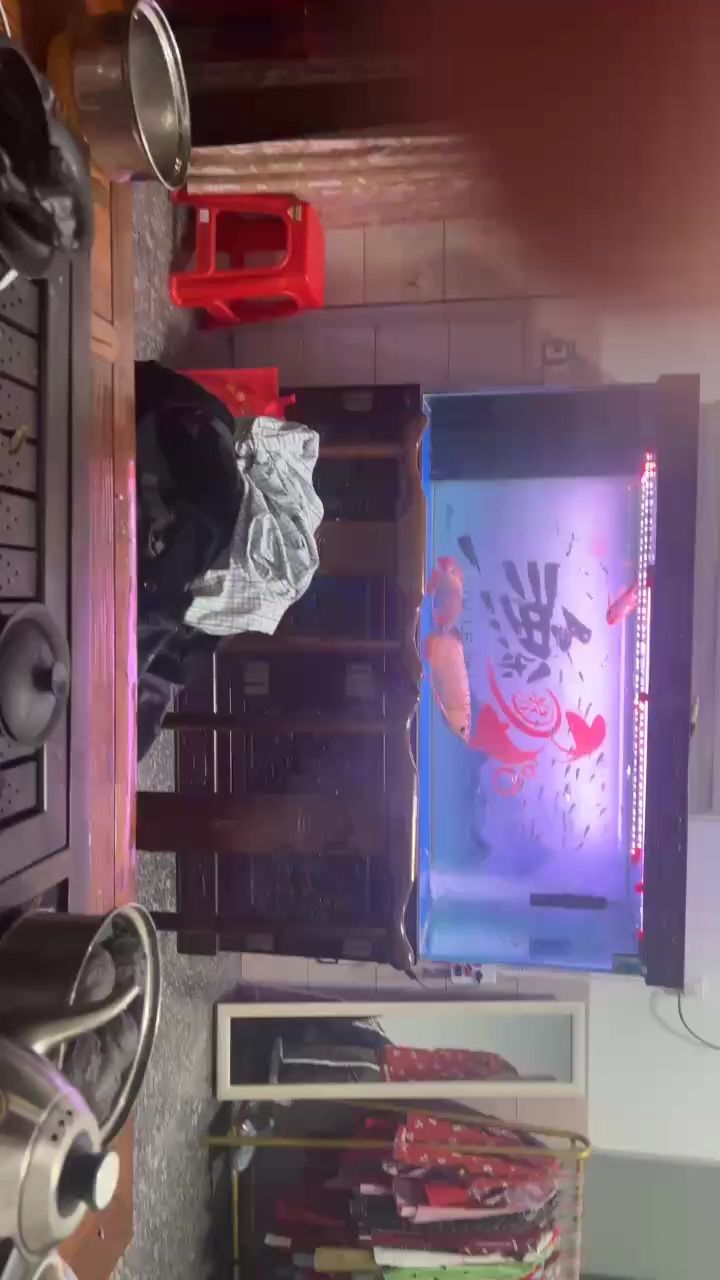 天天猛魚，一天N次天天日