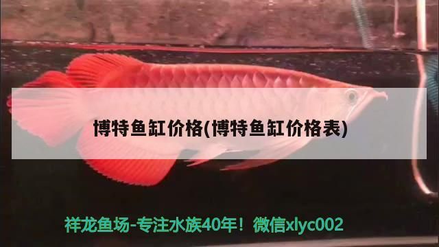 博特魚缸價(jià)格(博特魚缸價(jià)格表)