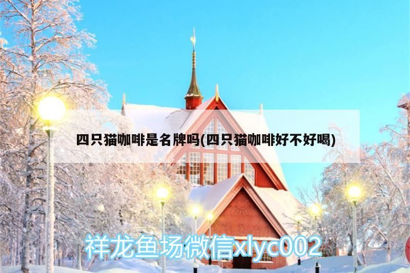 四只貓咖啡是名牌嗎(四只貓咖啡好不好喝)