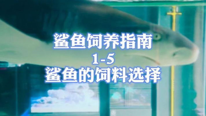 十大頂級(jí)淡水魚(yú)，珍稀與美味的完美結(jié)合，全球十大珍稀美味淡水魚(yú)，頂級(jí)饕餮之選