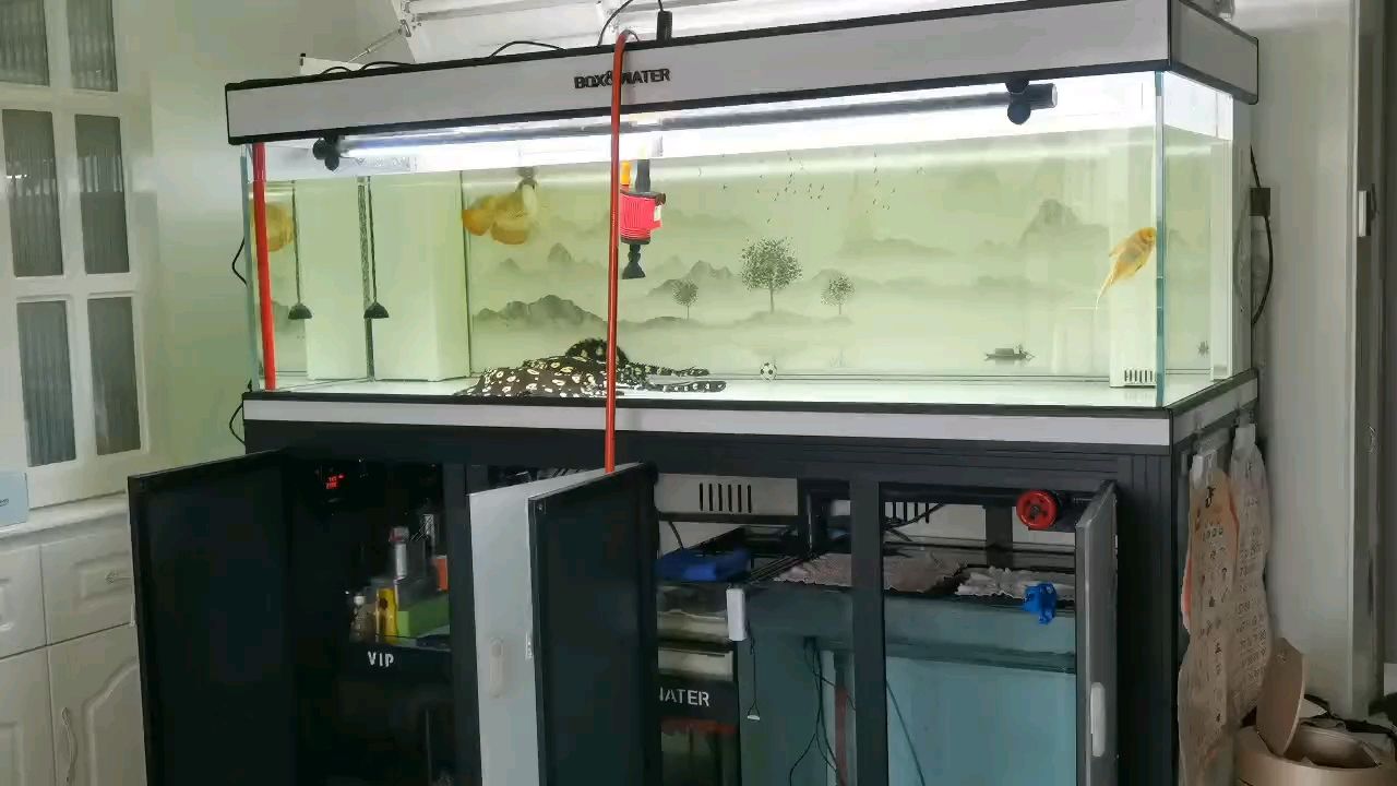 喜歡沒有截止日期！