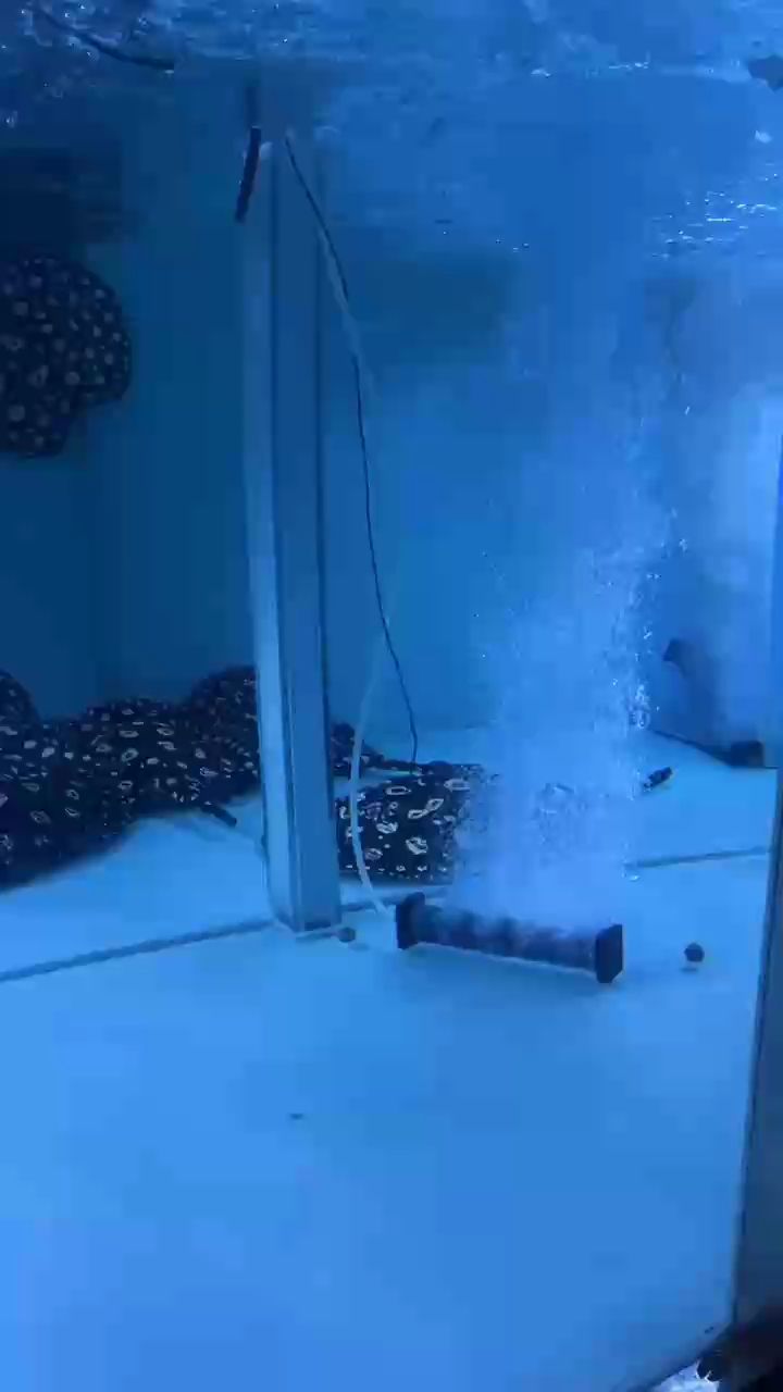 人在知足的時候最富有也在珍惜的時候最幸福