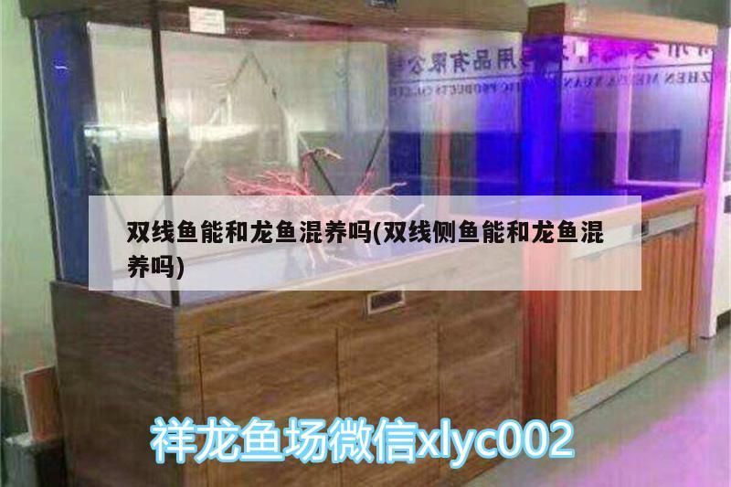 廣州市增城日富鮮花店
