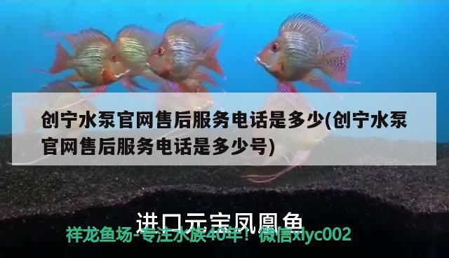 創寧水泵官網售后服務電話是多少(創寧水泵官網售后服務電話是多少號)