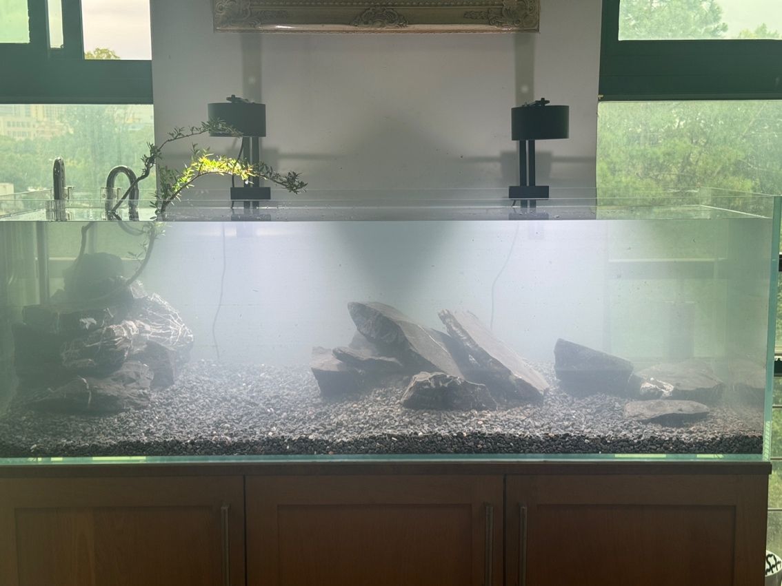 水草缸翻缸溪流… 龍魚論壇 第1張 水草缸翻缸溪流… 水草缸翻缸溪流… 龍魚論壇 第1張