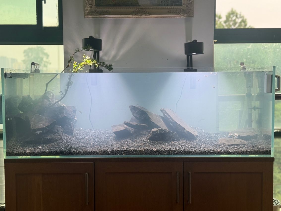 水草缸翻缸溪流… 龍魚論壇 第2張 水草缸翻缸溪流… 水草缸翻缸溪流… 龍魚論壇 第2張