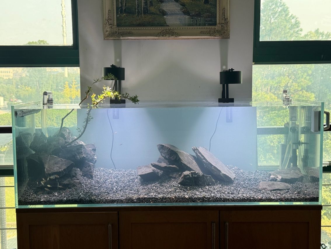水草缸翻缸溪流… 龍魚論壇 第3張 水草缸翻缸溪流… 水草缸翻缸溪流… 龍魚論壇 第3張